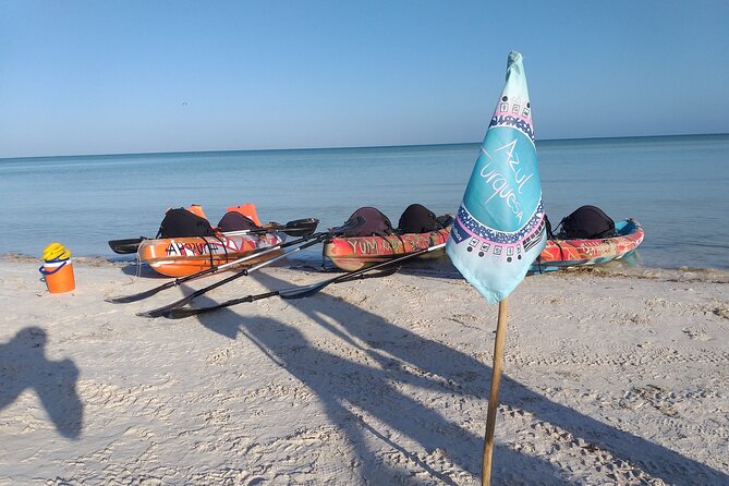 Birdwatching by Kayak in the Mangroves - Location and Reviews