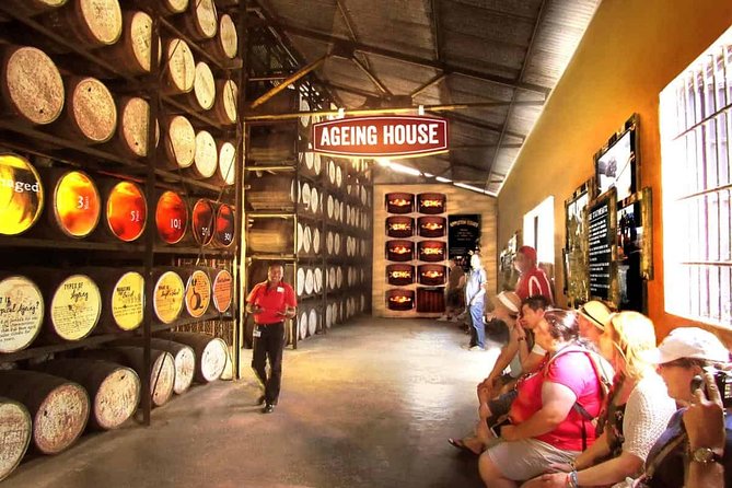 Black River Safari and Appleton Rum Estate Private Tour - Appleton Rum Estate