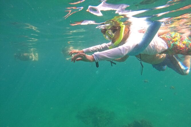 Blue Heron Bridge Guided Snorkel Tour - Traveler Feedback and Insights