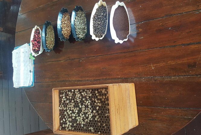 Blue Mountain Coffee Tour From Runaway Bay - Tips for Visitors