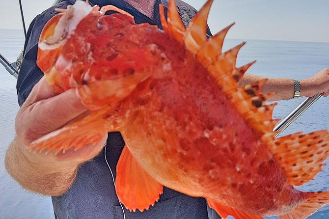Boat Fishing Trip - Enjoying the Fishing Experience