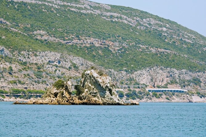 Boat Rental - Boat Type Options