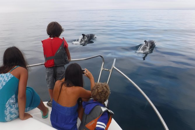 Boat Trip for Dolphin Watching Along the Arrabida Coast and Sesimbra - Highlights of the Arrabida Coast