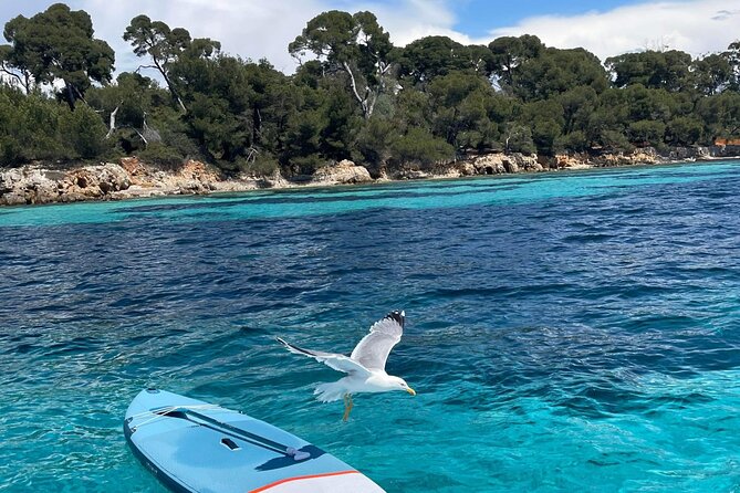 Boat Trip to the Lérins and Cannes Islands - Exploring the Lérins Islands