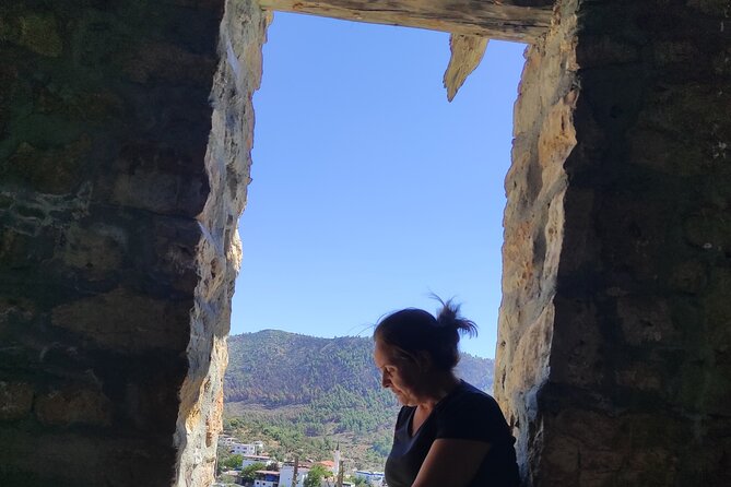 Bodrum Rustic Lunch and Olive Tasting Tour - Experiencing Rustic Lunch