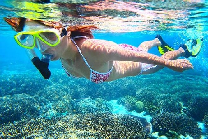Booze Cruise Party Boat in Punta Cana (Half Day) - Pricing and Cancellation Policy