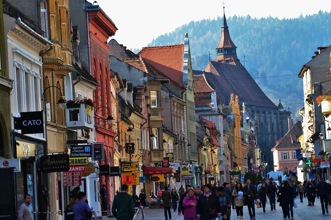 Bran & Peles Castles Through the Best Road in the World: Transfagarasan Road - Navigating the Journey With an Expert Guide