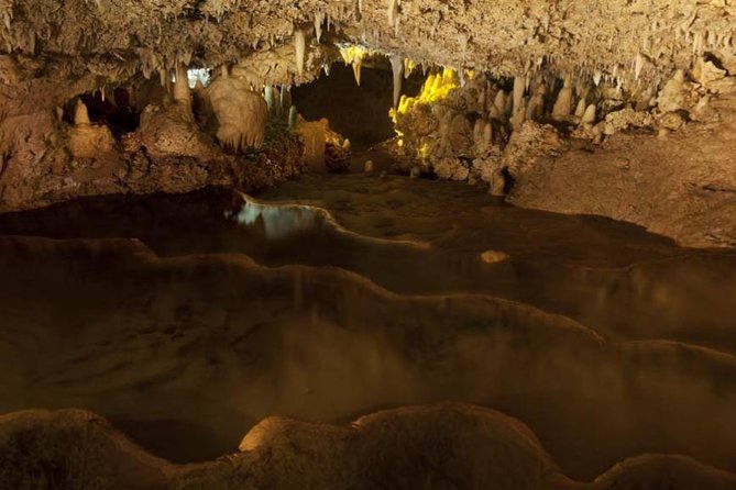 Bridgetown Barbados Shore Excursion Tour Harrisons Cave - Booking and Cancellation