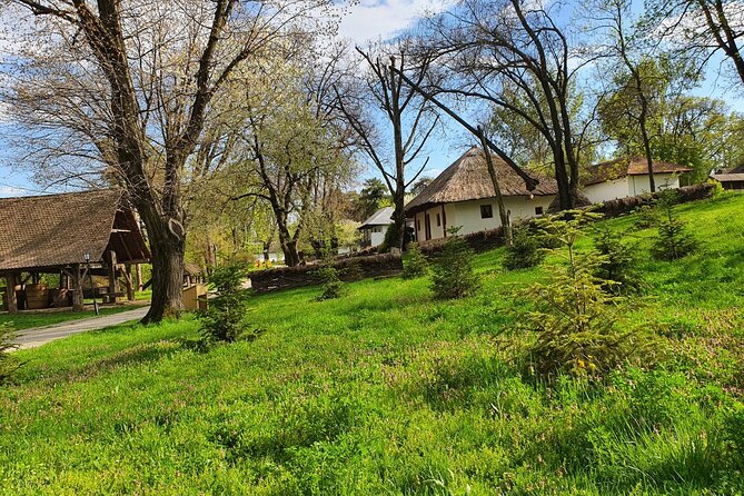Bucharest Private Tour With Draculas Grave and CeaușEscu Mansion - Flexible Tour Duration and Schedule