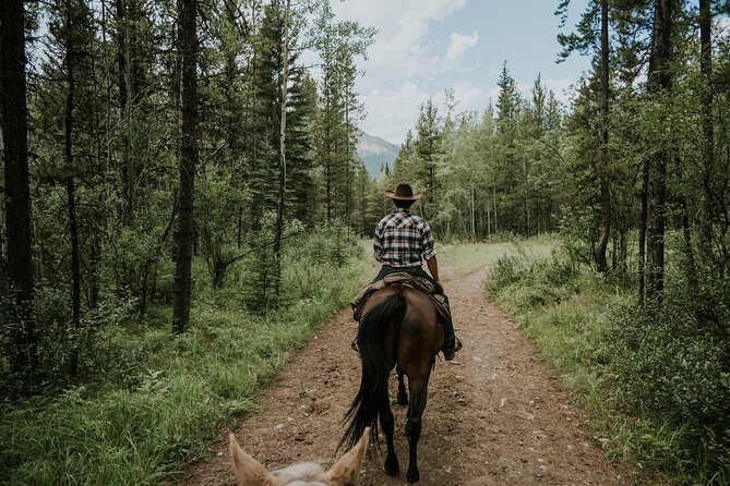 Buffalo Loop 1-Hour Horseback Trail Ride in Kananaskis - Booking Your Experience