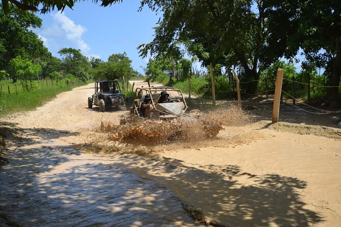 Buggy Ride in the Dominican Countryside From Bávaro - Reviews