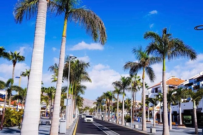 Buggy Tour South Coast of Tenerife With Off-Road - Tour Activities