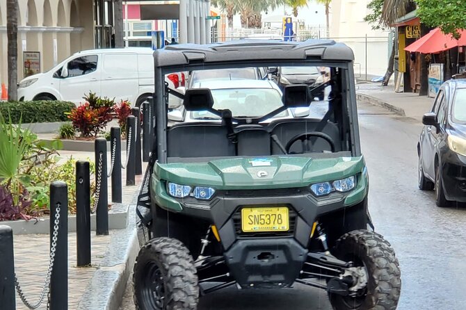 Buggy Tours, Sightseeing Tour Around City Nassau,Paradiseisland - What to Expect