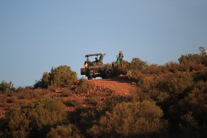 Bush Safari - Guest Reviews and Ratings