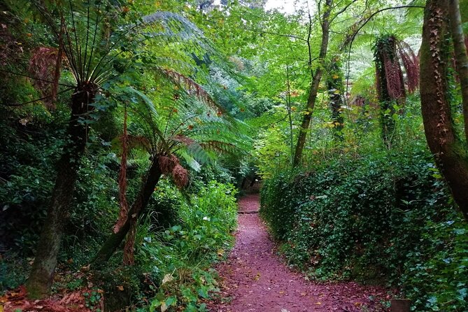 Bussaco Forest Walking Experience, Half Day From Coimbra - Booking and Cancellation