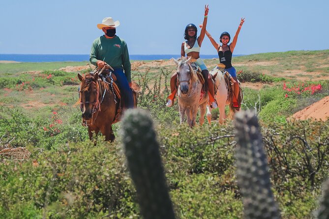 Cabo Horseback Riding on Pacific Beach and Desert - Transportation and Logistics