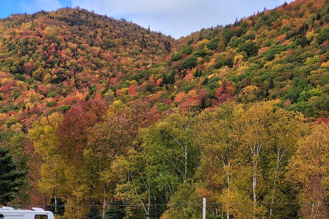 Cabot Trail Private Full Day Tour - Customizing Your Tour Experience