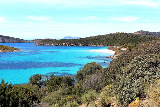 Cagliari: Full-Day Fishing Tourism From Teulada - Weather and Cancellation