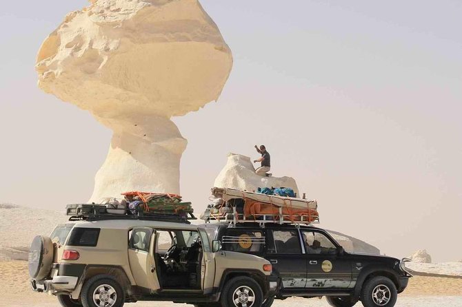 Cairo : 3 Days White & Black Desert Safari Trip - Traveler Reviews