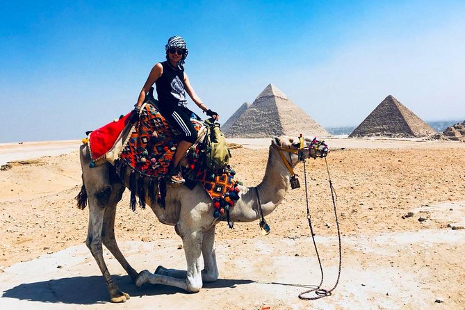 Cairo Unusual Day Tour Visit Camel Market in Birqash - Highlights of the Camel Market