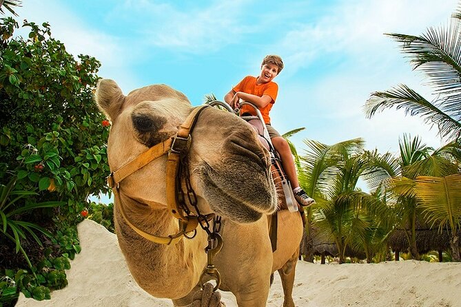 Camel Expedition and Beach Club In Riviera Maya - Recommendations and Tips