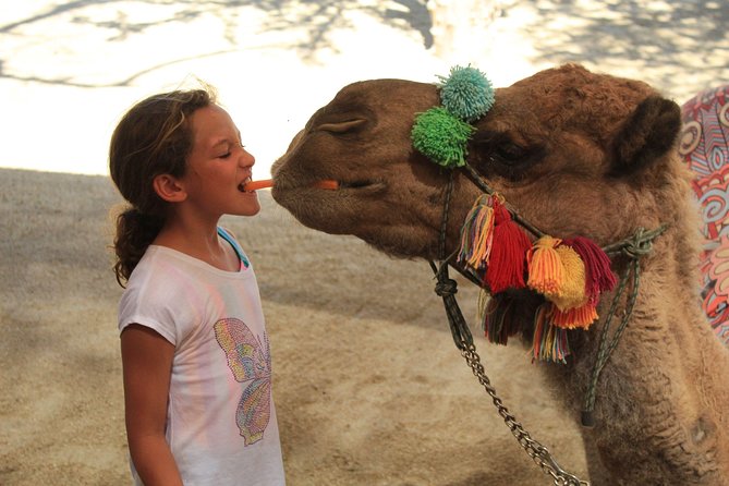 Camel Quest With Snacks & Waterslides - Camel Feeding and Rides