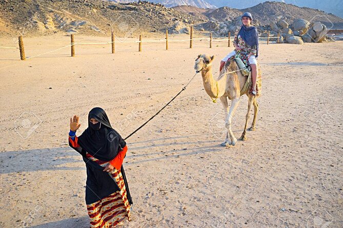 Camel Ridding Marsa Alam Safari From Camel Yard - Exploring the Bedouin Tent