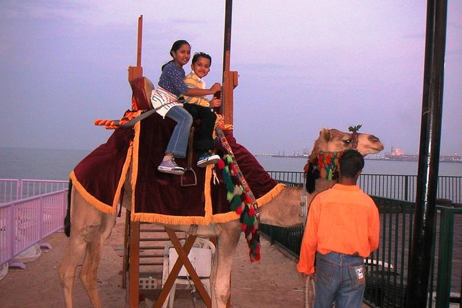 Camel Ride in Desert With Dune Bashing, BBQ Dinner and Belly Dance - Entertainment and Shows
