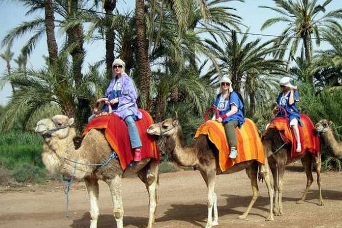 Camel Ride Marrakech - About the Tour