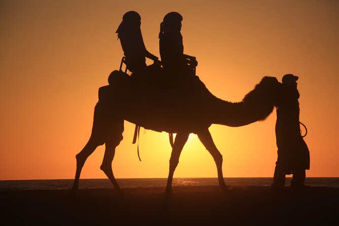 Camel Trek With 1 Night in Luxury Camp With Dinner+ Sundbording - Pricing and Availability