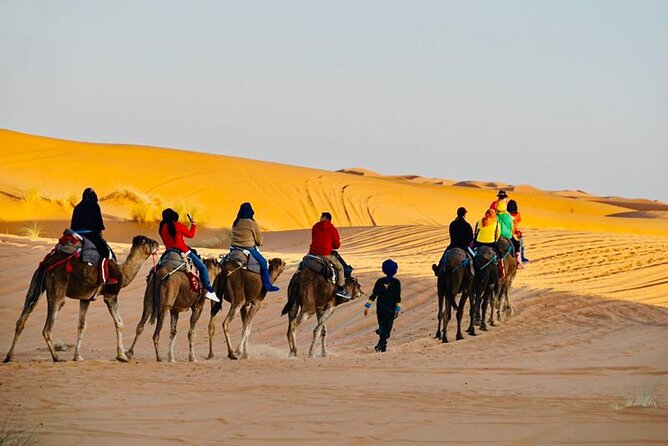 Camel Trekking & 1 Night Desert Camp - Meeting Points and Pickup Options