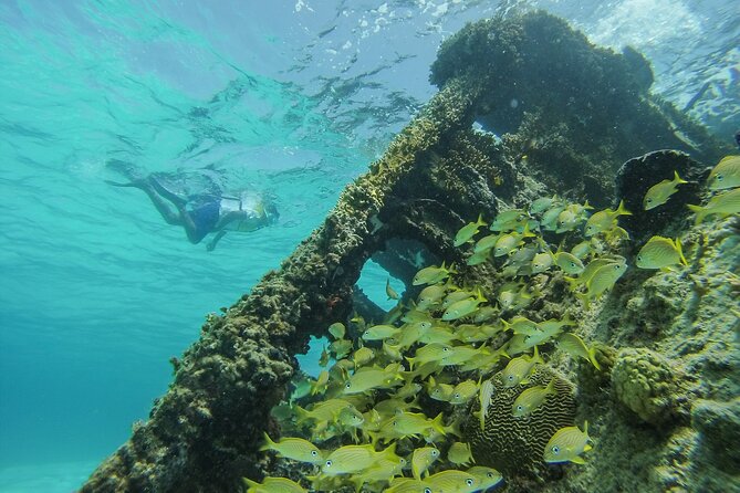 Cancun Snorkeling Adventure: Underwater Museum, Reef & Shipwreck - Snorkeling Highlights
