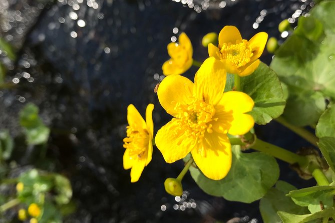 Canoe Trip in Lapland - Memorable Moments