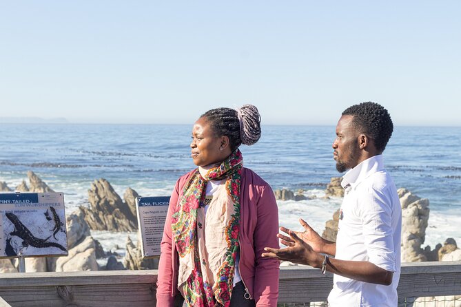 Cape Agulhas Full Day Tour - Exploring Stoney Point