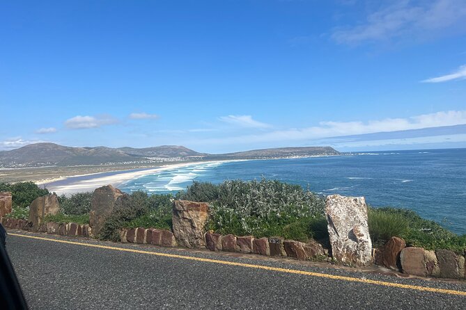 Cape Peninsula Full Day Private Experience - Booking Information