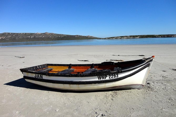 Cape West Coast Full Day Private Day Tour - Customizable Options