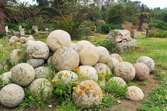 Carthage Discovery Half-Day Tour With Licensed Guide - Booking Process