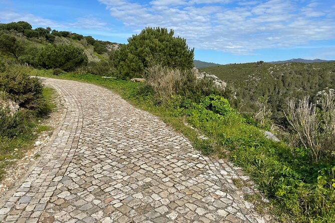 Cascais-Sintra E-Bike Tour: Discover Its Natural Beauty - Participant Considerations
