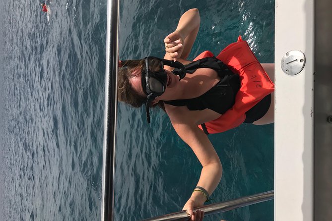 Catalina Island and Snorkeling Tour - Island and Food