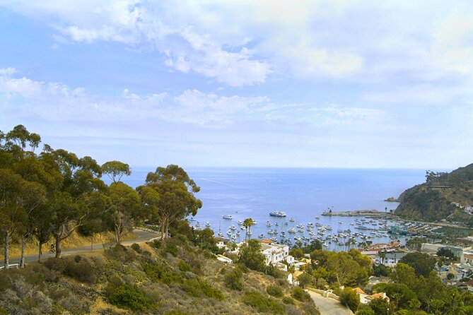 Catalina Island W/Discover Avalon Scenic Tour & Hotel Transfers - Accessibility and Requirements
