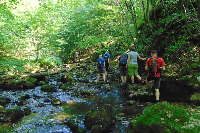 Cave, Hike, Bike and Explore the Western Carpathians,Transylvania,Romania - Taking in the Transylvanian Atmosphere