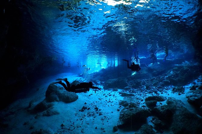 Cenotes 2-Tank Dive in Playa Del Carmen/For Certified Divers Only - Safety and Precautions