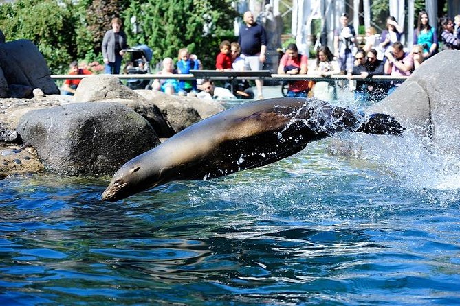 Central Park Zoo Admission Ticket With 4D Theater Access - Ticket Purchase Recommendations