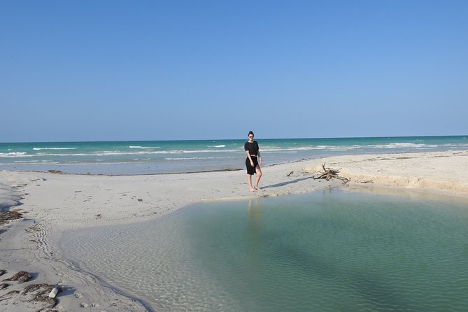 Chichen Itza, the Pink Lagoon and Pink Flamingos - Traveler Tips and Feedback
