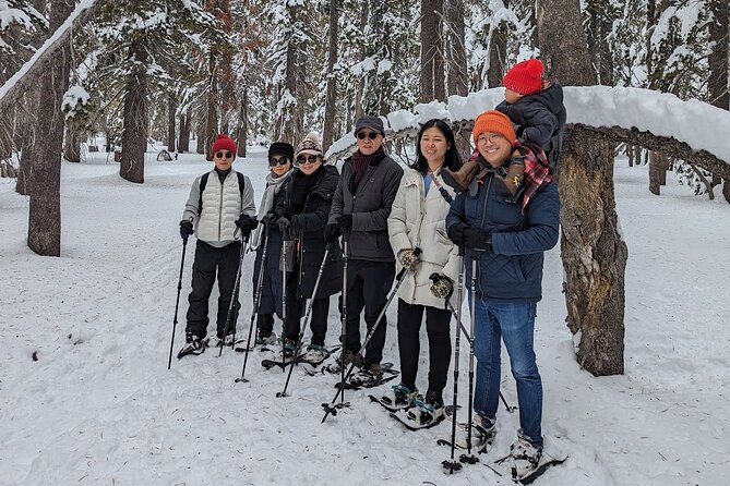 Chickadee Ridge Beginner Snowshoe Activity - Things To Known