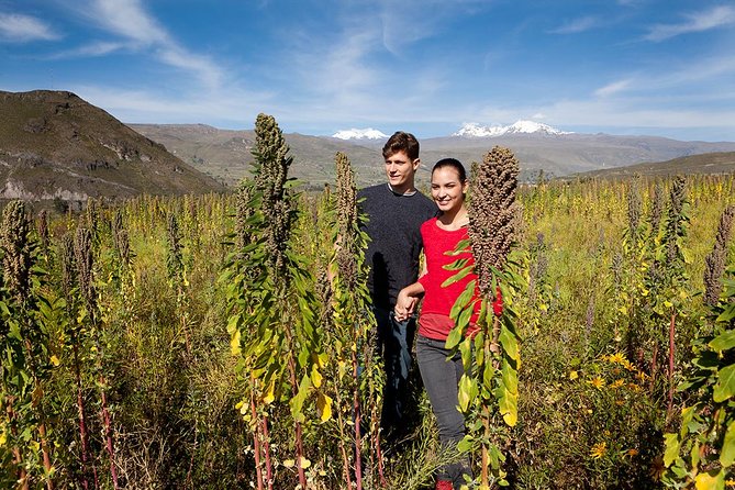 Chinchero Weaving Textiles , Moray & the Salt Mines - Final Verdict On This Stay