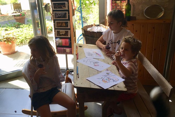 Chinon Wine Tour by Bike With Picnic Lunch - Guest Reviews and Testimonials