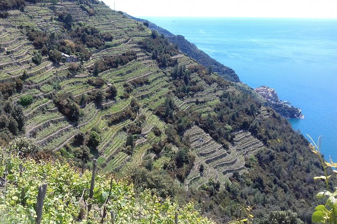 Cinque Terre Unforgettable Hiking Experience - Traveler Photography Showcase