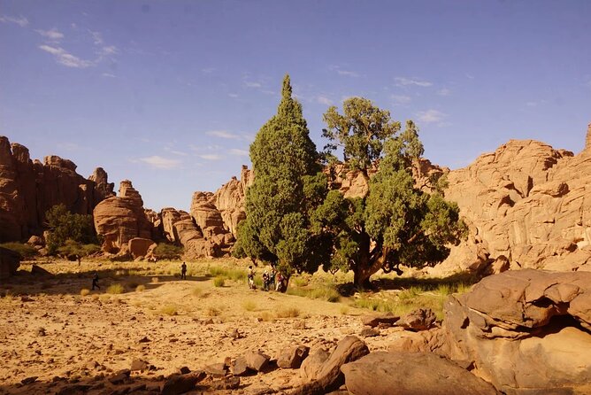 City of Sefar Private 7-Day Trek in the Algerian Sahara - Booking Process