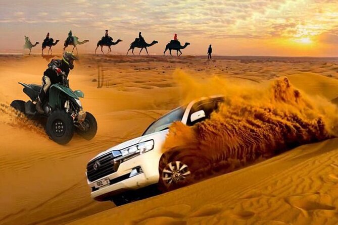 City Tour and Desert Safari With Camel Ride and Sand Boarding - Customer Reviews and Ratings